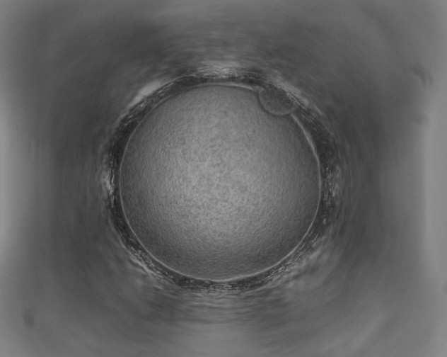 X0000111351206200907171136