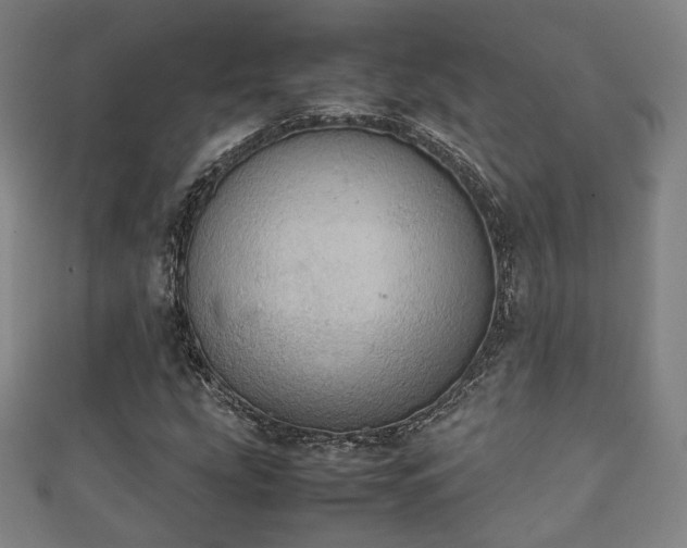 X0000111351207200907171136