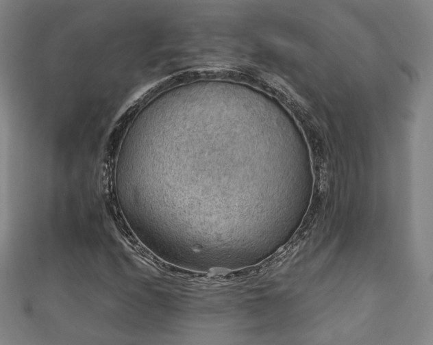 X0000111351208200907171136