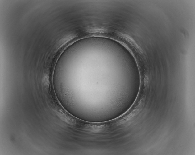 X0000111351209200907171136