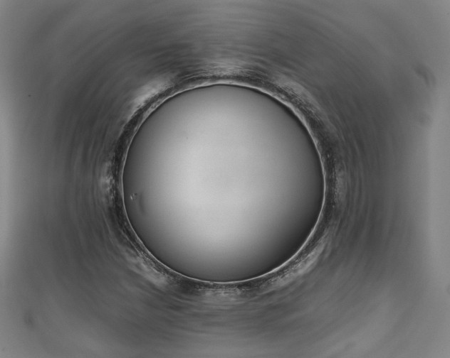 X0000111351210200907171136