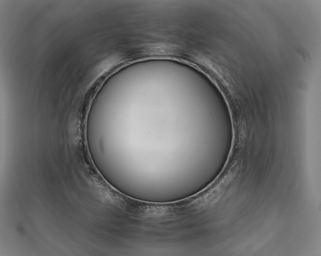 X0000111351211200907171136