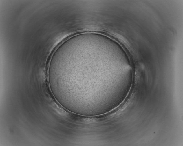 X0000111351212200907171136