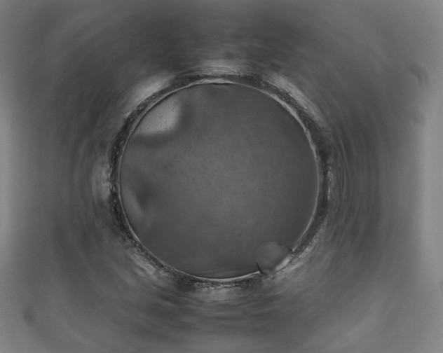 X0000111351213200907171136