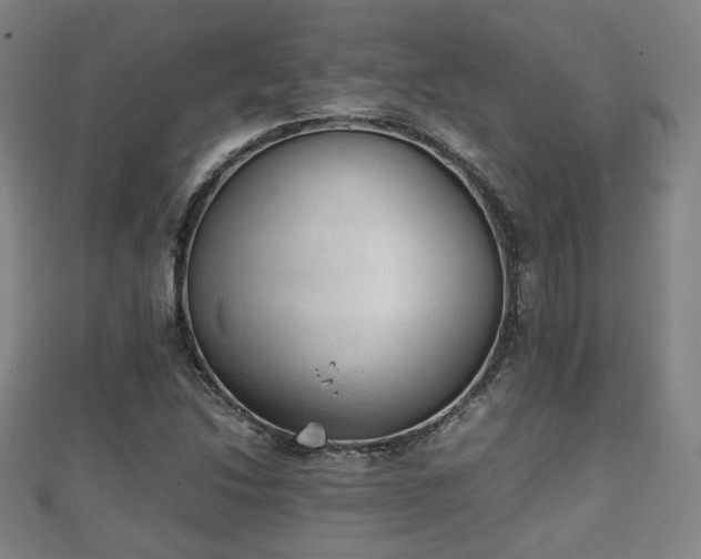 X0000111351214200907171136