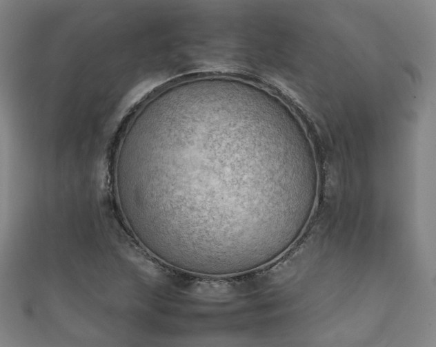 X0000111351215200907171136