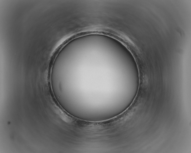 X0000111351216200907171136