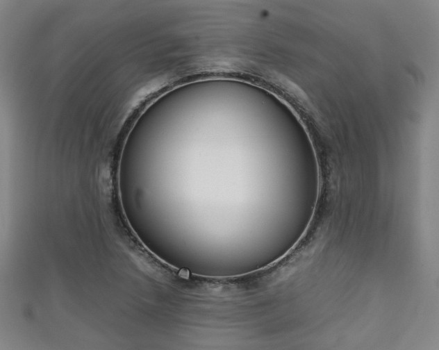 X0000111351218200907171136