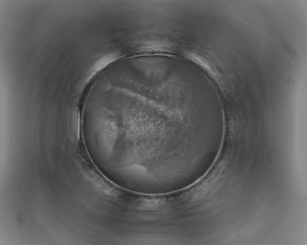 X0000111351219200907171136