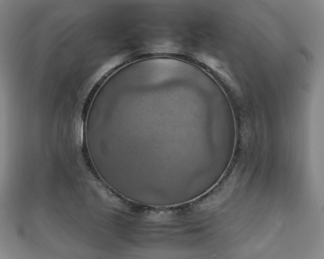 X0000111351221200907171136