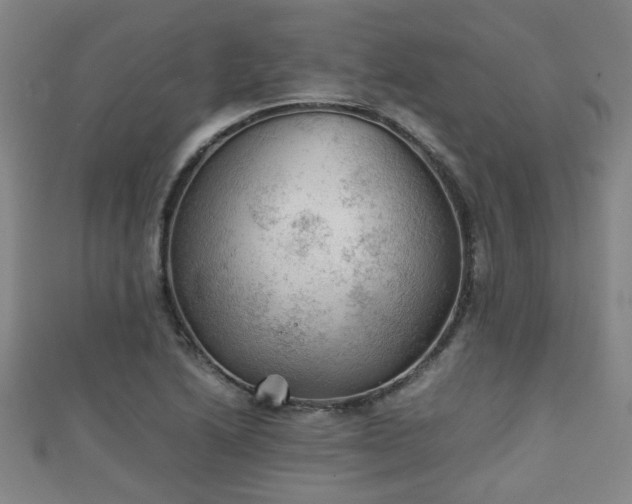 X0000111351222200907171136