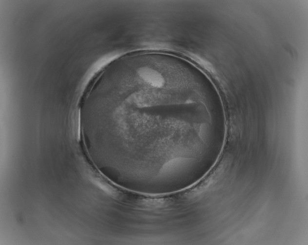 X0000111351223200907171136