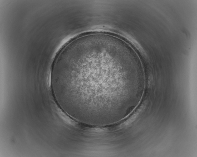 X0000111351224200907171136