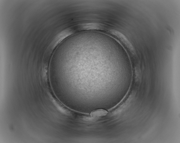 X0000111351225200907171136