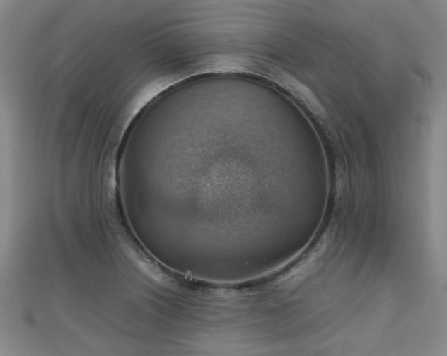 X0000111351226200907171136