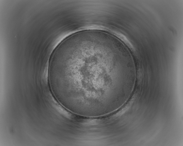 X0000111351228200907171136