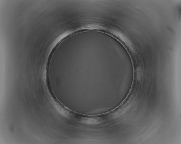 X0000111351229200907171136