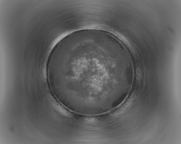 X0000111351230200907171136