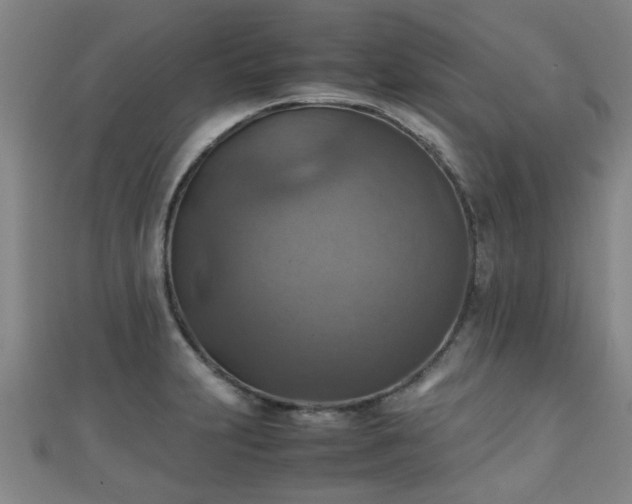 X0000111351231200907171136