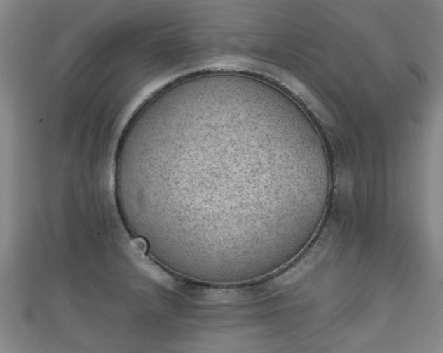 X0000111351232200907171136