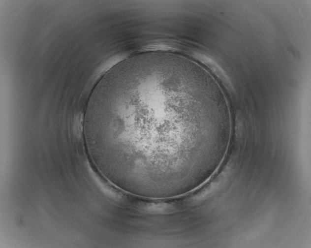 X0000111351233200907171136