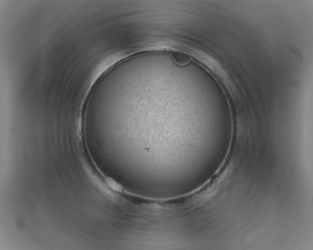 X0000111351234200907171136