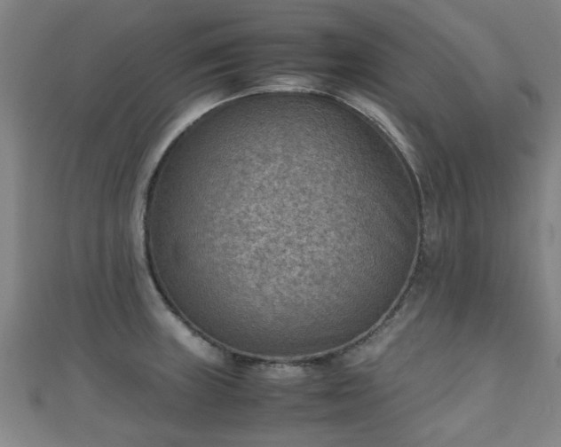 X0000111351235200907171136