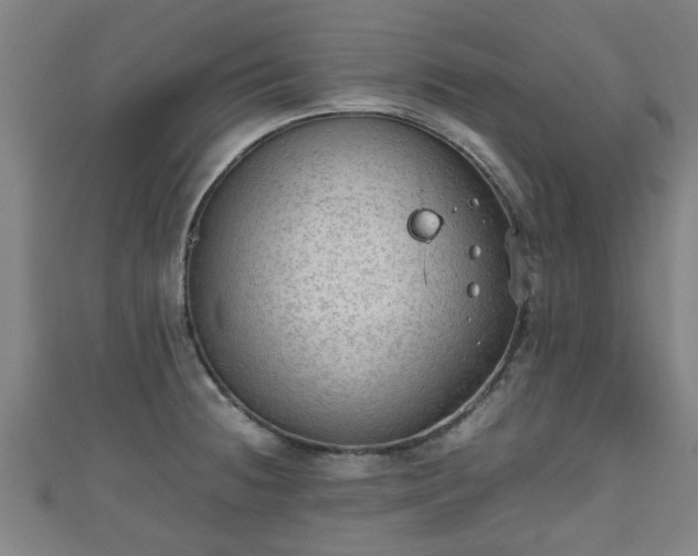 X0000111351236200907171136