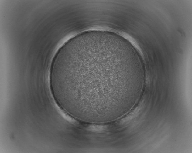 X0000111351237200907171136