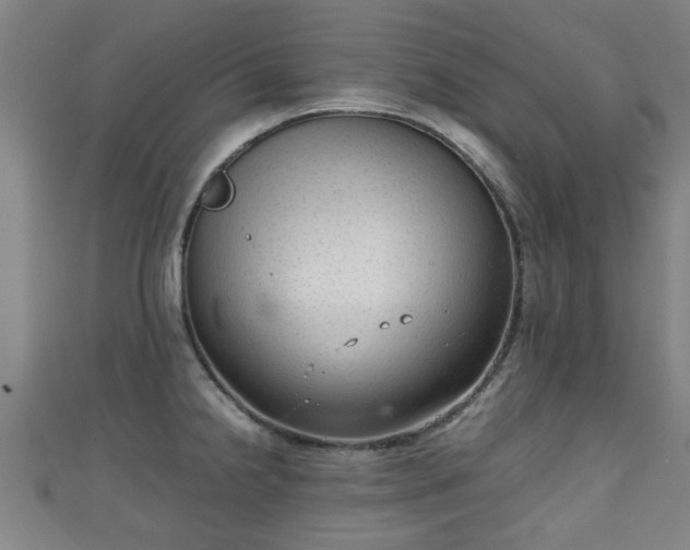 X0000111351238200907171136