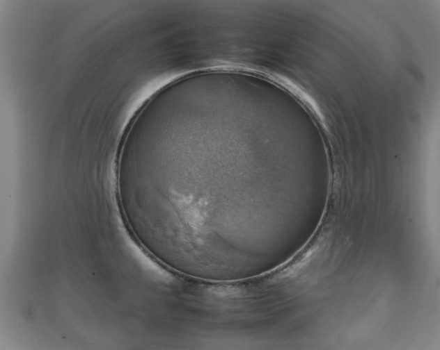 X0000111351239200907171136