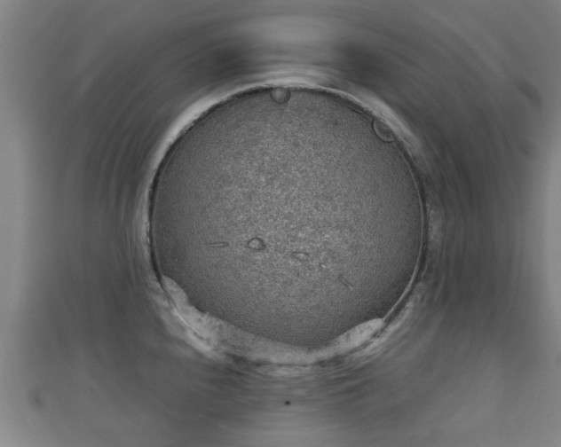 X0000111351240200907171136