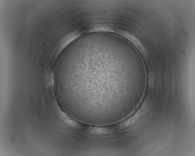 X0000111351241200907171136