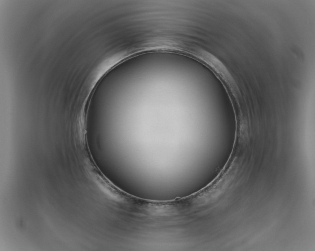 X0000111351242200907171136