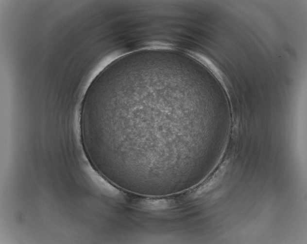 X0000111351243200907171136