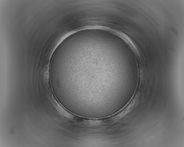 X0000111351244200907171136