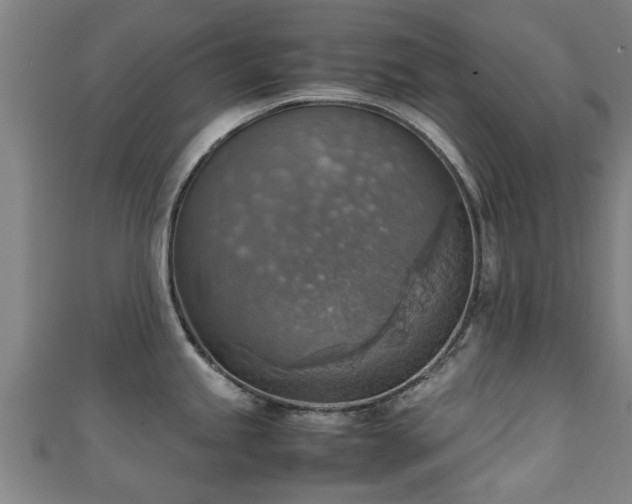 X0000111351245200907171136