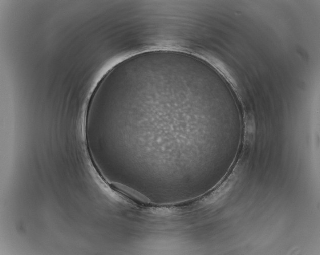 X0000111351246200907171136