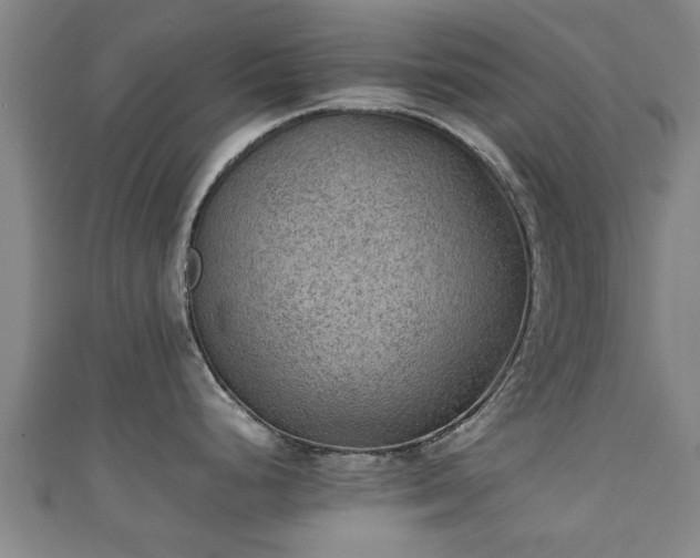 X0000111351248200907171136