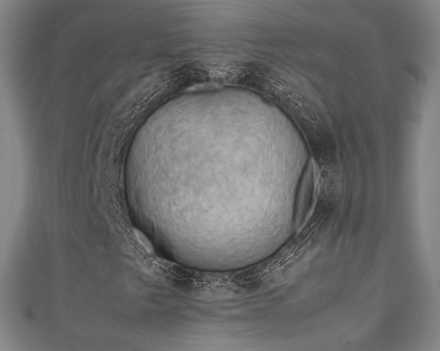 X0000111351249200907171136