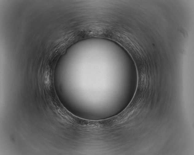 X0000111351250200907171136