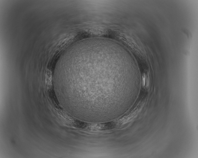 X0000111351251200907171136