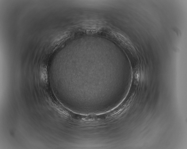 X0000111351252200907171136