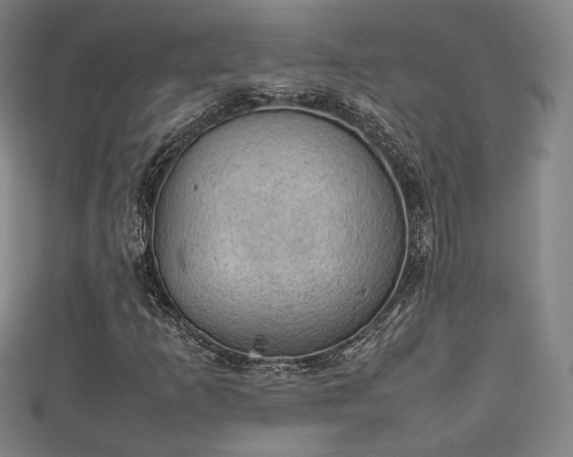 X0000111351253200907171136