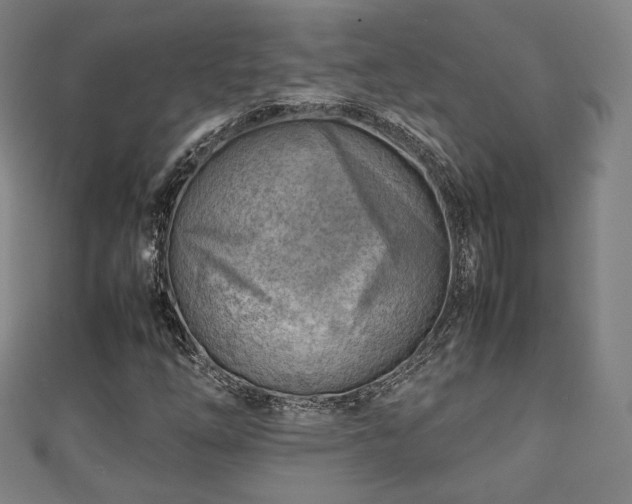 X0000111351254200907171136