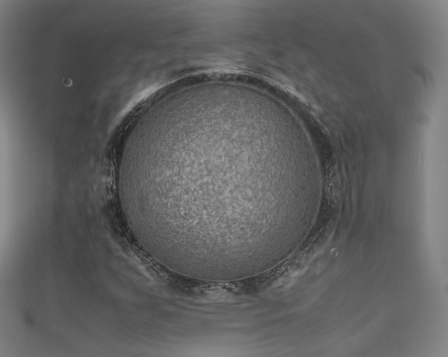 X0000111351255200907171136