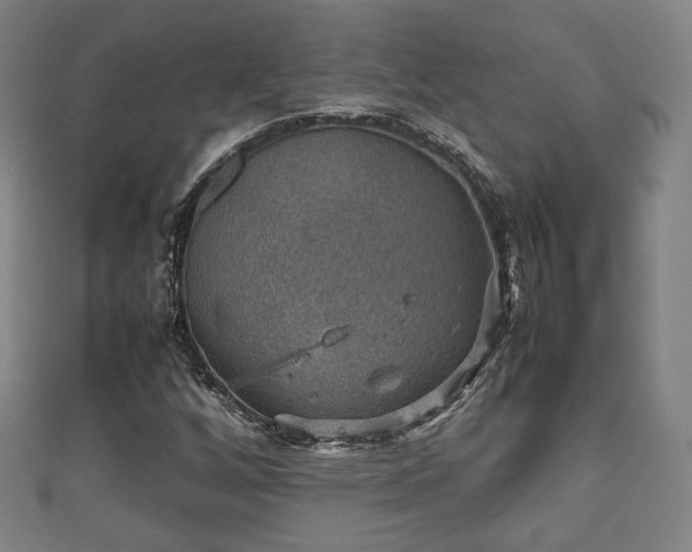 X0000111351256200907171136