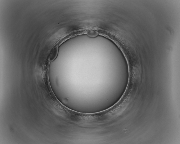 X0000111351257200907171136