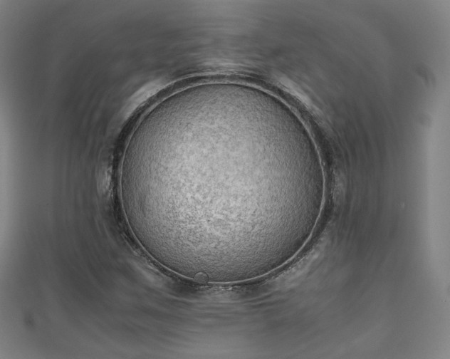 X0000111351259200907171135