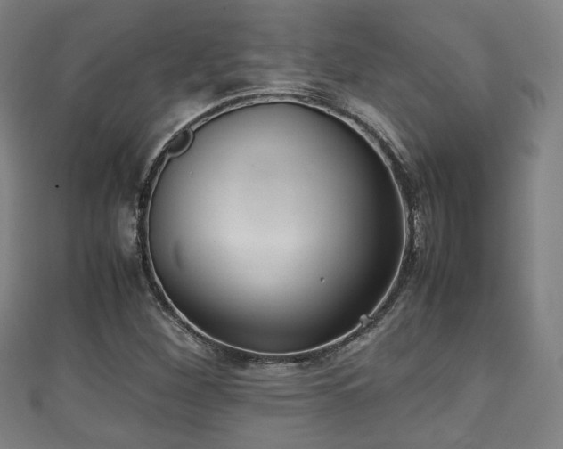 X0000111351260200907171135